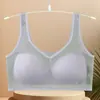 Ventas Directas de Fábrica Superventas Transfronterizos Malla Espalda Bonita Sin Costuras Cómodo Push-up Recoge Flancos Busto Grande Se Ve Más Pequeño Ropa Interior Verano Delgado