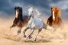 Arte Animal Cavalo Selvagem Correndo Pintura em Tela Mural Pôster Arte de Parede Quarto Sala de Estar Pintura Decorativa Moderna