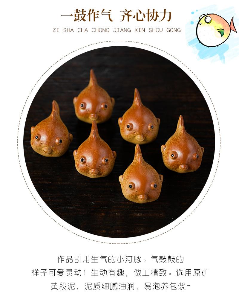 小河豚20210616 (13).jpg