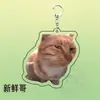 Regalo Divertido para Amigos, Pequeño Teatro Temático de Gatos Accesorios Peculiares, Lindo Colgante Decorativo de Mem, Llavero de Acrílico
