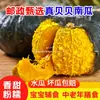 Seleção Postal Guoshukang Origem Weifang Entrega Direta Beibei Abóbora Naturalmente Madura Doce e Pegajosa Grão Integral Suplemento Alimentar para Bebê