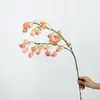 Estilo Wabi-Sabi de Gama Alta Nuevo Estilo Chino Polvo Nebulizado de Pasta de Frijol Artificial Linterna Fruta Ramas Artificiales Atmósfera del Hogar Adornos Florales