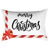 Cojín lumbar navideño transfronterizo cojín estampado piel de durazno cojín para la cintura y la espalda para sofá de sala de estar funda al por mayor con diseño de mapa