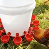 Nuevo Bebedero Automático para Aves de Corral para Patos, Gansos y Pollos; Bebedero Especial para la Cría de Palomas y Pollos