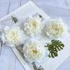 Accesorios de Corona de Flores de Peonía para Simulación de Productos Nuevos Transfronterizos Materiales Hechos a Mano Capullo de Flor Estudio de Boda Diseño de Hotel Flores Artificiales