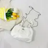 Bolso de Mano de Moda Plisado 2026 Primavera Nuevo Estilo Cadena de Alto Valor Bolso Cruzado al Hombro Bolso Casual de Moda de Este Año