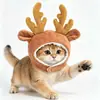 Libro Rojo Oveja Pequeña Vaca Gato Perro Perro Pequeño Disfraz Mascota Forma Divertida Sombrero Gorro Halloween