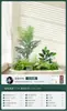 Plantas Verdes Artificiales Paisajismo Interior Grande Combinación de Paisajismo Exterior Exhibición de Ventana Lujo Ligero de Alta Gama Plantas en Maceta Biónicas de Pie