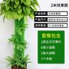 Paquete decoración tubería de agua corteza flor artificial ratán refugio pilar balcón tubería planta verde simulación plástico vid