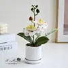 Flores artificiais com duas flores e uma fruta, toque realista, pequeno bonsai de Phalaenopsis, adereços de plantas verdes para fotografia, ornamentos de vaso de flores decorativos para sala de estar