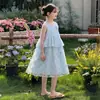 Vestido de Verano sin Mangas para Niñas, Ropa Infantil, Elegante Vestido de Malla de Princesa, Vestido de Moda Estilo Coreano