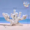 Piezas Decorativas para Aquascaping: Rocas Secas, Base de Hueso Blando de Coral de Tanque del Mar de Java, Plataforma de Hueso Duro y Decoraciones de Cueva