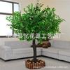 Simulación de árbol de Banyan, árbol falso, simulación de planta grande, hotel, centro comercial, accesorios de boda, árbol de los deseos, paisaje, árbol, decoración de ventanas