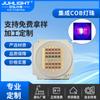 Fonte de luz COB Vermelho Azul infravermelho UV multi-banda lâmpada de terapia de beleza contas destaque alta potência LED COB integrado