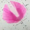 Decoración de Pastel Alas de Plumas Celebridad de Internet Ángel Enchufe Diseño