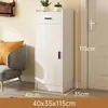 Zapatero para entrada de casa, puerta única, simple, almacenamiento multicapa, mueble de esquina para entrada de ascensor, estrecho, tamaño pequeño