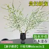 Plantas Hidropónicas, Ramas Frescas de Sauce Dragón, Flores Cortadas, Plantas Verdes Estilo Wabi-Sabi Cultivadas en Agua, Nandina, Sauce de Nieve, Ramas Secas, Plantas en Maceta Colgantes para Interiores