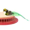 Juguete Popular para Gatos Transfronterizo Caña Única Ventosa Pluma Pájaro Atrapador Palo para Gatos Cable de Acero Desmontable Juguete Atrapador para Gatos