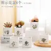 Vaso de Flor Suculenta Cerâmica Preço Especial Liquidação Esmaltado Tamanhos Grande e Pequeno Simples Pastoral Mesa Vasos de Barro Respirável Plantas Leede Estoque