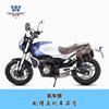 Coche muscular Wolf adecuado para Qianjiang Yi 550 bolsa lateral bolsa de lona bolsa para portátil de negocios maletín modificación con portaequipajes de liberación rápida