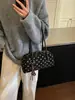 Bolso tipo almohada de lunares retro nuevo 2026, un bolso único y elegante diseñado para mujeres, perfecto para el uso diario y para ir al trabajo.