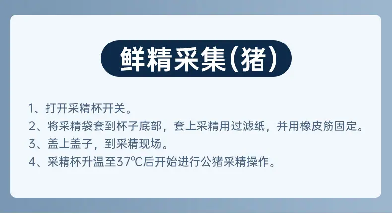 800详情_13.jpg