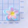 Accesorios de Resina con Flor de Cinco Pétalos Degradado Brillante Adornos para el Cabello con Pegamento Cremoso Charms para Zuecos Accesorios DIY Venta al por Mayor