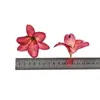 Cabeça de Flor de Lírio Pequena Simulada Materiais Manuais DIY Flores para Decoração de Casamento Adorno de Cabeça Antigo Acessórios de Roupa Flores Artificiais Flores de Seda