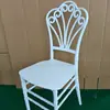 Silla Napoleon de Plástico PP, Silla de Comedor para Bodas PP Mate, Silla para Exteriores para Césped y Salón de Bodas