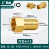 Conector de Latão com Rosca Interna e Espigão de 4/6 Polegadas para Mangueira de Gás Natural, Adaptador Roscado Reto Espessado, Conexão de Cobre