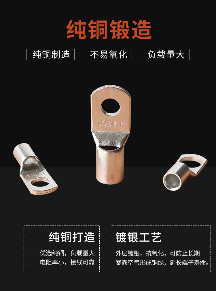 SC铜鼻子1_08.jpg