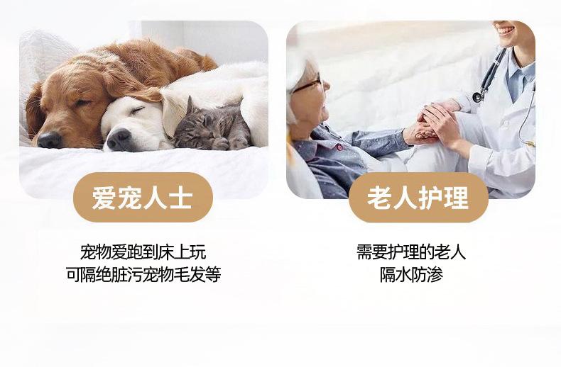 幸运草-淡水蓝_04.jpg