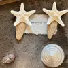 Ilha de Verão ~ Presilha de Cabelo de Palha com Estrela do Mar Natural 2025 Primavera e Verão Novo Estilo Resort Presilhas Laterais para Franja Acessórios de Cabelo
