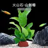 Plantas de Acuario, Decoraciones de Paisajismo con Césped Real, Plantas Aptas para Principiantes, Crisantemo Verde Ciempiés, Plantas de Sombra, Piedra Volcánica, Plantas Verdes Purificadoras de Agua