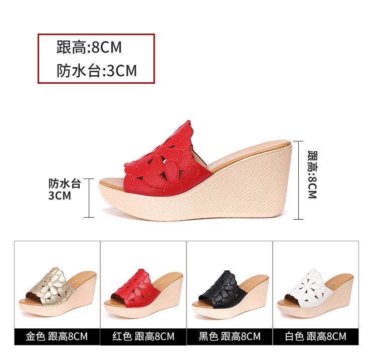 红色_06.jpg