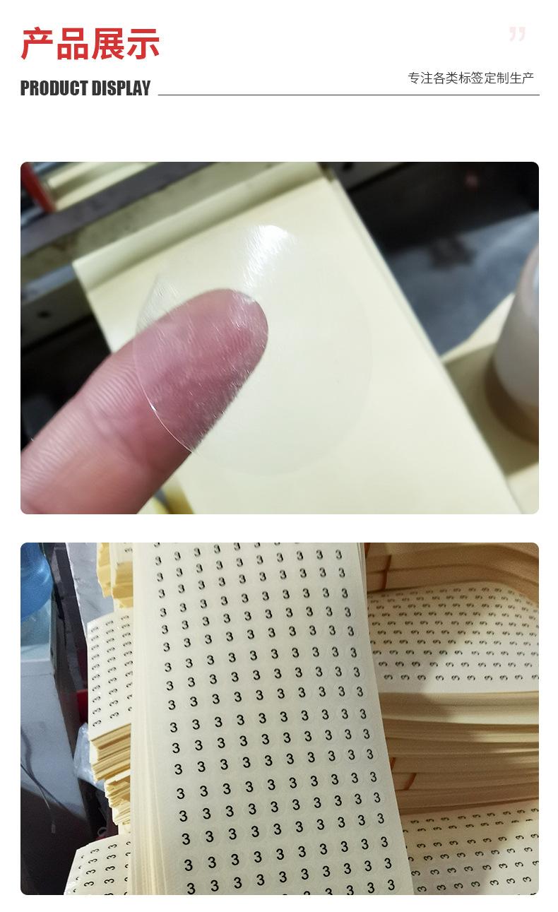 透明龙_11.jpg