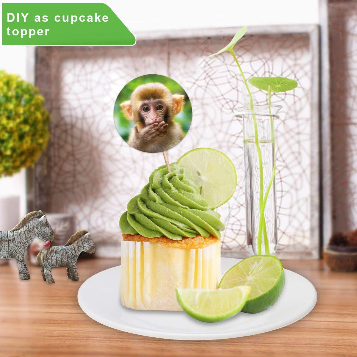 7109RQim1zL._AC_SL1200_