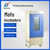 Novos organismos, células bacterianas, cepas, laboratório de microbiologia, incubadora de moldes, cultivo e melhoramento de plantas