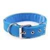 Amazon Más Vendido Collar Forro de Cinta PP Espuma de Polipropileno Casual Combinación Perfecta Collar para Perro Correa de Tracción Productos para Mascotas