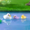 Transfronterizo Nuevo Producto Muñeca de Patito Lindo Paisajismo de Jardinería Lindo Decoración DIY Accesorios para Colgar Micro Paisaje Pequeños Adornos