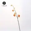 Serie de colores Naranja y Café Fruta de Linterna Girasol Anturio Fruta Amapola Ave del Paraíso Phalaenopsis Vanda Orquídea