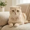 Colar com Pingente de Pérola e Gema de Camada Única para Animal de Estimação Gato Cão Gola Choker de Princesa Gato Cão Coleira de Pérola