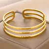 Pulsera de Acero de Titanio Amazon, No se Desvanece, Pulsera Ajustable de Acero Inoxidable para Mujer, Sensación Exagerada de Alta Gama, Pulsera Abierta al por Mayor