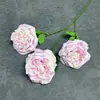 Flor Artificial de Lichia Rosa de 3 Cabeças para Decoração de Salão de Casamento, Arranjo Doméstico, Rosa em Serigrafia, Enfeite de Flor Artificial Transfronteiriço Atacado