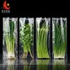 Sacos de preservação de vegetais em OPP, sacos respiráveis, sacos de embalagem plástica transparente antiembaçante para supermercado, sacos de embalagem personalizados para frutas e vegetais frescos