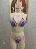 Nuevo Bikini Sexi de Dos Piezas para Mujer Europeo y Americano Transfronterizo Estilo de Moda