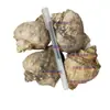 Conchas de caracol, conchas de caracol crudas para medicina herbaria china, tiendas físicas, conchas de caracol calcinadas, conchas de caracol molibles, venta al por mayor de conchas de caracol para medicina herbaria china