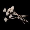 Al por Mayor en Stock 4cm Ratán Aromaterapia Flor de Loto y Pandora Flores Secas Se Pueden Teñir y Perforar para Decoración del Hogar Flores Artificiales