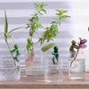 Suporte de Planta Transfronteiriço para Fixação de Plantas Verdes, Vaso de Planta Anti-Queda Jardinagem Decoração de Borda de Vaso Fixa para Cultivo