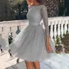 Vestido Nuevo de Verano 2027 Europeo y Americano Comercio Exterior para Mujer Wish Amazon Cuello Redondo Manga Larga Transparente Sexy